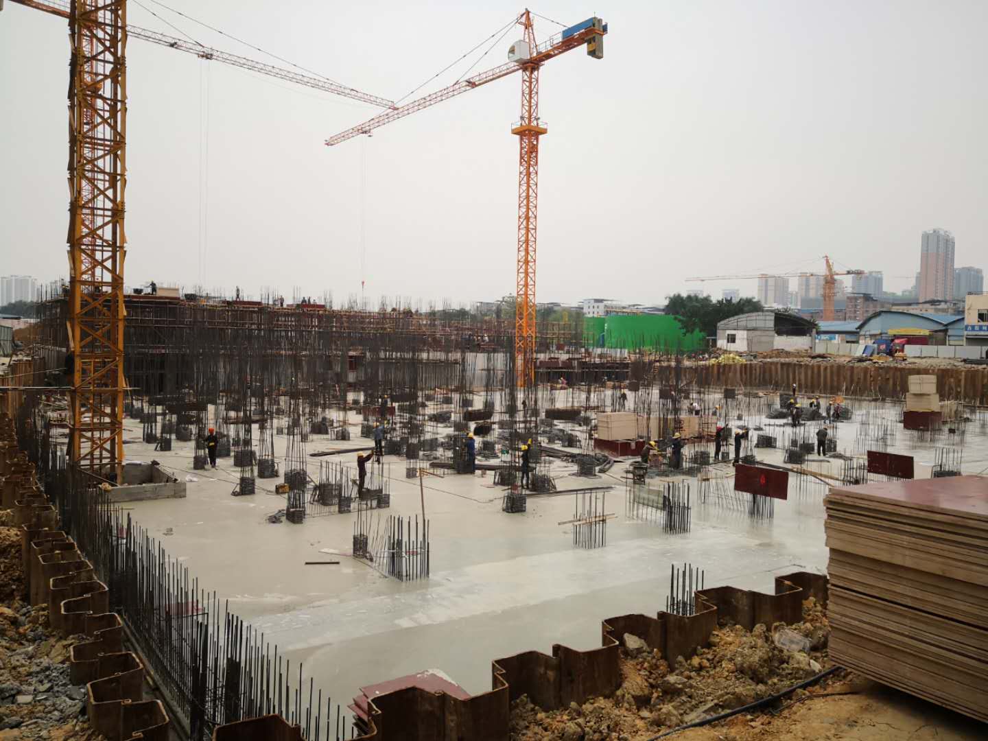 大學(xué)路公園里.上城